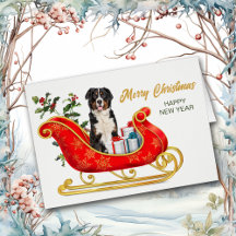 Bernese Mountain Dog Christmas Sleigh Holiday Card