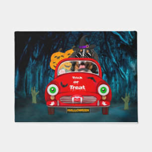 Bernese Mountain Dog Driving Car Beängstigend Hall Fußmatte