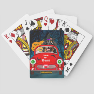 Bernese Mountain Dog Driving Car Beängstigend Hall Spielkarten