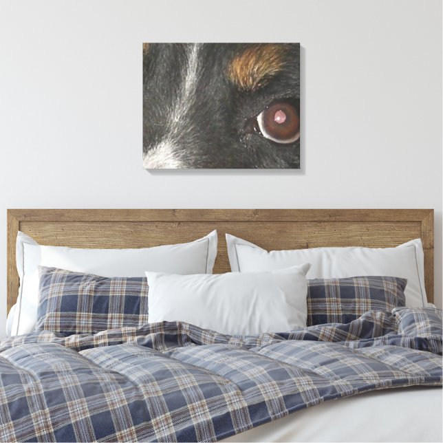 Bernese Mountain Dog Eyes Leinwanddruck (Insitu (Schlafzimmer))