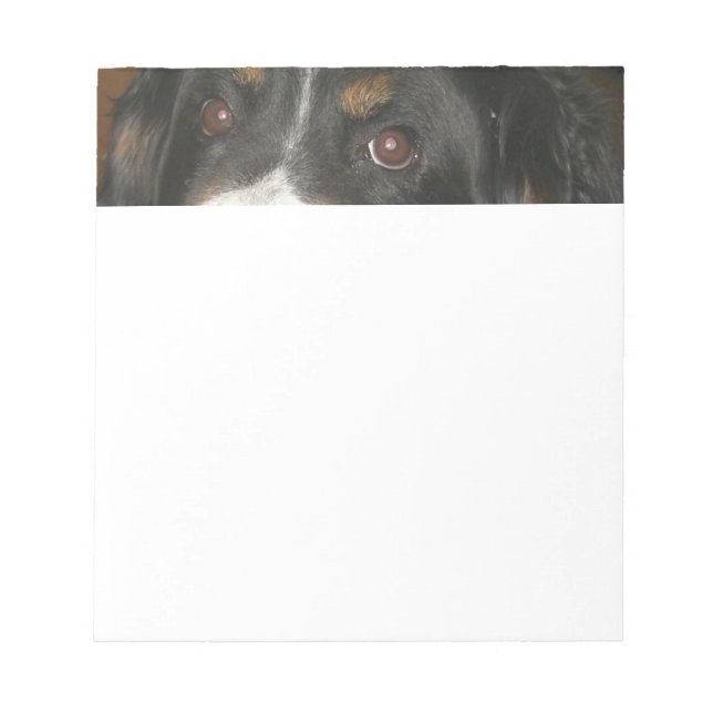 Bernese Mountain Dog Eyes Notizblock (Vorderseite)