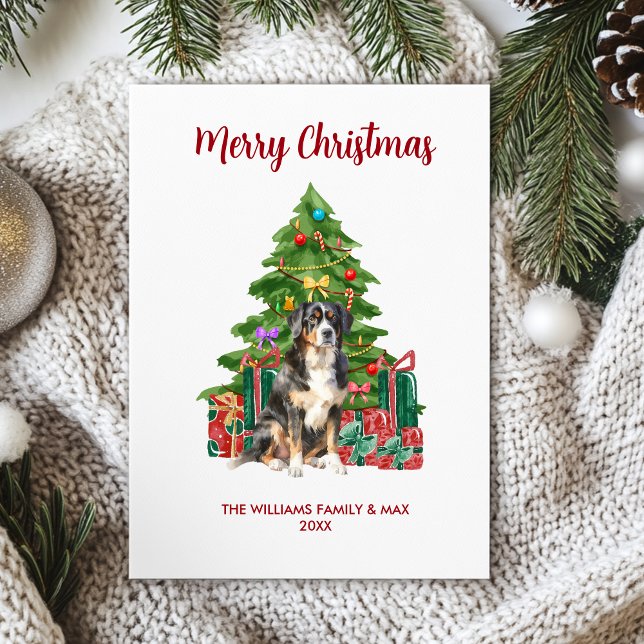 Bernese Mountain Dog Familie Weihnachten (Von Creator hochgeladen)