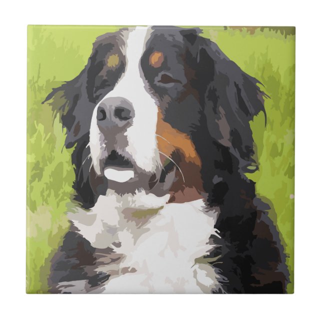 Bernese Mountain Dog Fliese (Vorderseite)