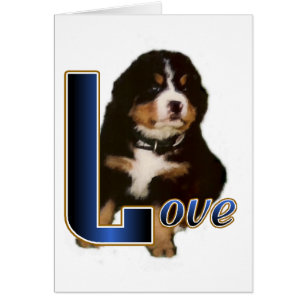 Bernese Mountain Dog Geschenke