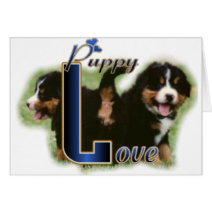 Bernese Mountain Dog Geschenke