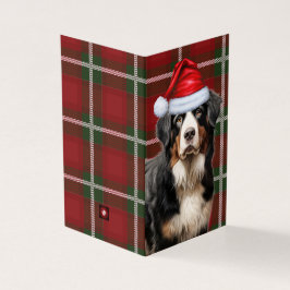 Bernese Mountain Dog Holiday Karierte Weihnachtska