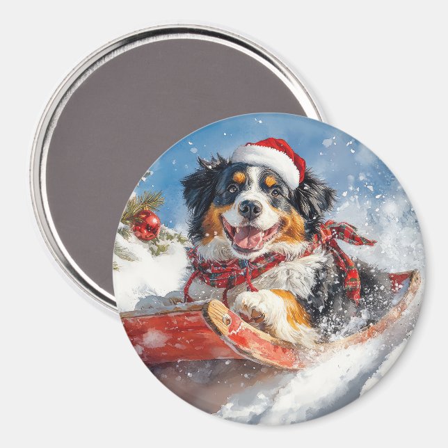 Bernese Mountain Dog in Sledge Weihnachten Magnet (Vorderseite/Rückseite)