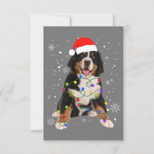 Bernese Mountain Dog Lights Weihnachtsmatte Dankeskarte
