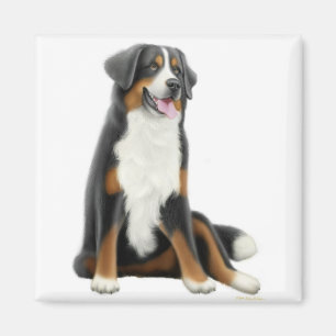 Bernese Mountain Dog Magnet
