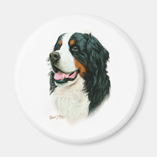 Bernese Mountain Dog Magnet