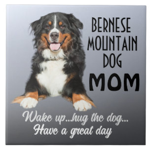 Bernese Mountain Dog Mama Fliese