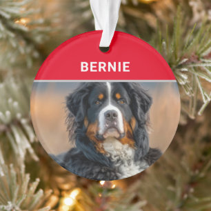 Bernese Mountain Dog Name und Foto Weihnachten Ornament
