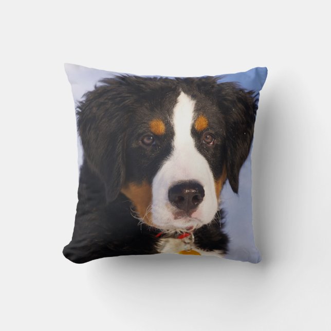 Bernese Mountain Dog - Niedliches Welpe-Foto Kissen (Vorderseite)