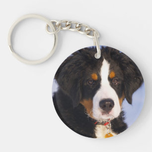 Bernese Mountain Dog - Niedliches Welpe-Foto Schlüsselanhänger