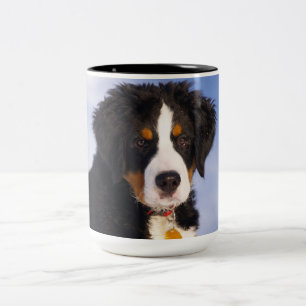 Bernese Mountain Dog - Niedliches Welpe-Foto Zweifarbige Tasse