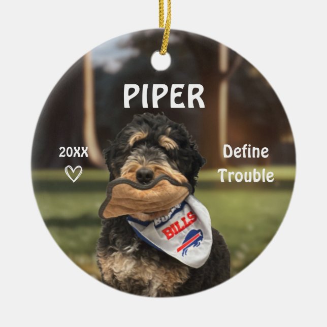 Bernese Mountain Dog Photo Ornament (Vorne)