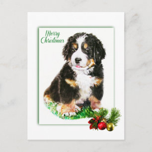 Bernese Mountain Dog Postkarte