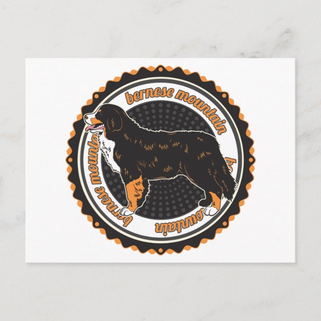 Bernese Mountain Dog Postkarte (Vorderseite)