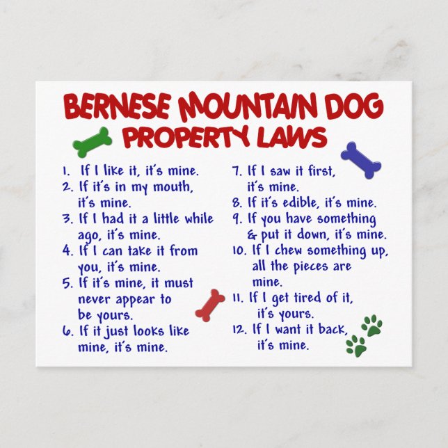 BERNESE MOUNTAIN DOG Property Laws 2 Postkarte (Vorderseite)