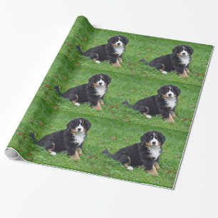 Bernese Mountain Dog Puppy Foto Geschenkpapier