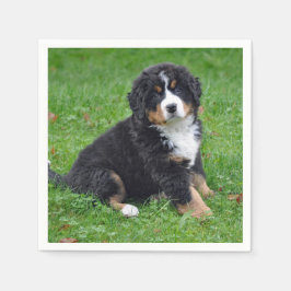 Bernese Mountain Dog Puppy Foto Serviette