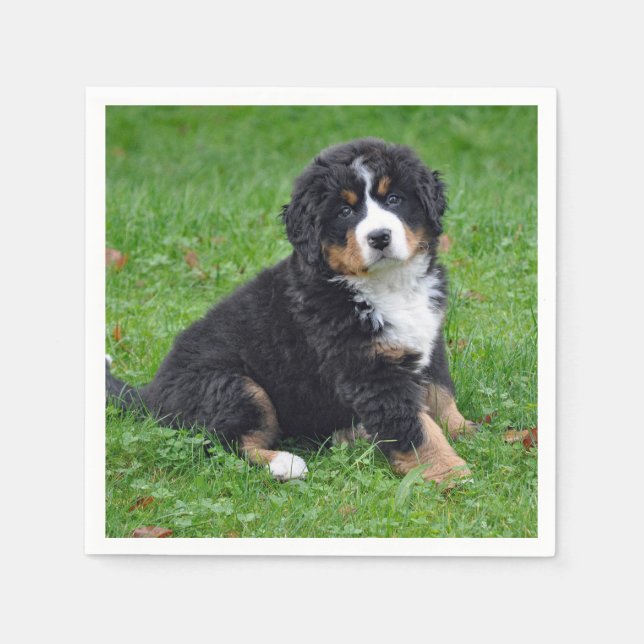 Bernese Mountain Dog Puppy Foto Serviette (Vorderseite)