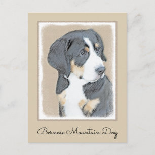 Bernese Mountain Dog Puppy Painting - Original Art Postkarte