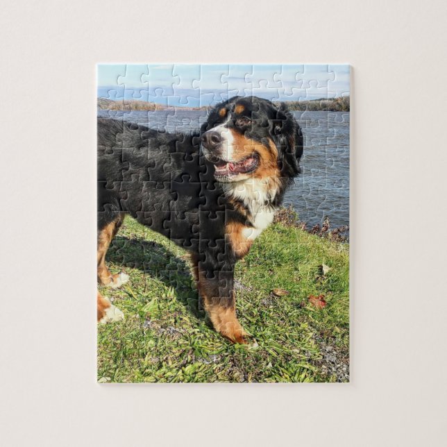 Bernese Mountain Dog Puzzle (Vertikal)