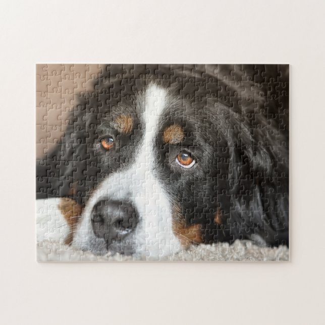Bernese Mountain Dog Puzzle (Horizontal)
