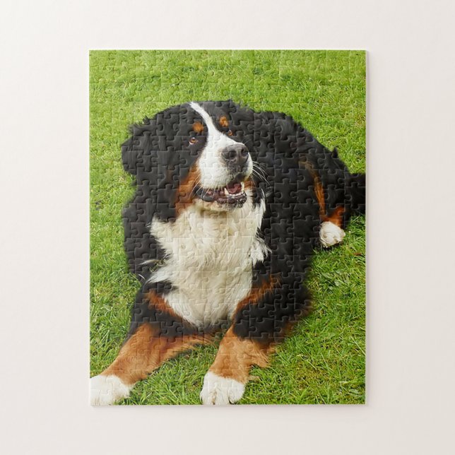 Bernese Mountain dog Puzzle (Vertikal)