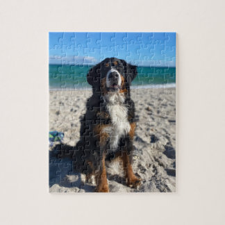 Bernese Mountain Dog Puzzle