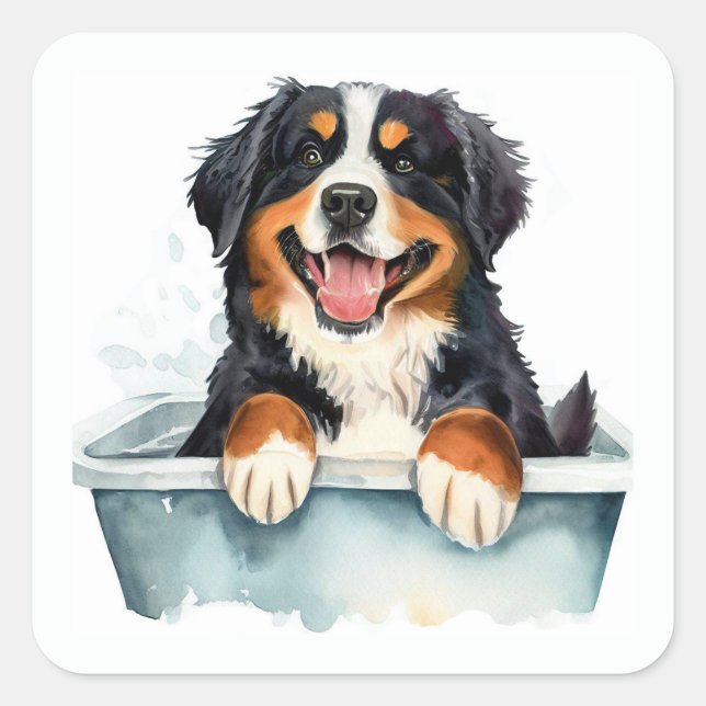 Bernese Mountain Dog Quadratischer Aufkleber (Vorderseite)