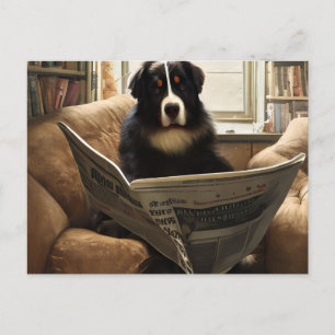 Bernese Mountain Dog Reading the Newspapier Postkarte
