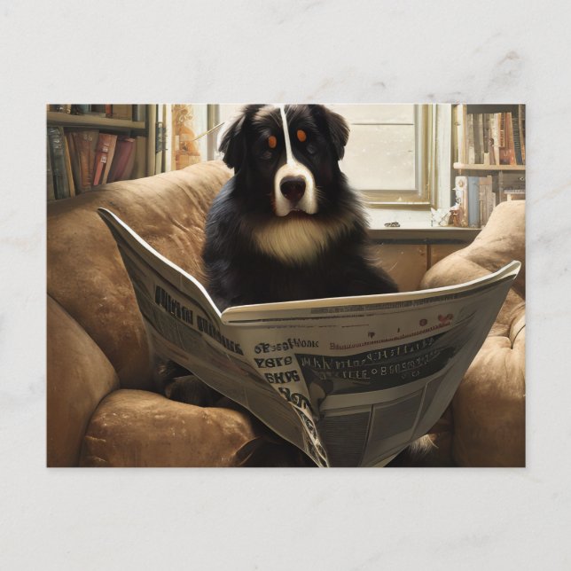 Bernese Mountain Dog Reading the Newspapier Postkarte (Vorderseite)