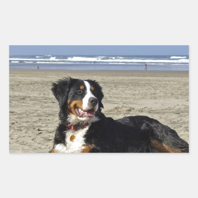 Bernese Mountain Dog Rechteckiger Aufkleber (Vorderseite)