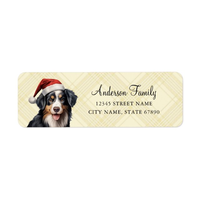 Bernese Mountain Dog Rücksendeadressen-Aufkleber (Vorne)