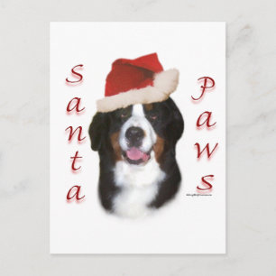 Bernese Mountain Dog Santa Paws Feiertagspostkarte