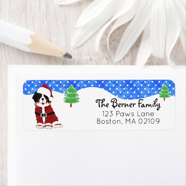 Bernese Mountain Dog Santa Paws Holiday (Insitu)