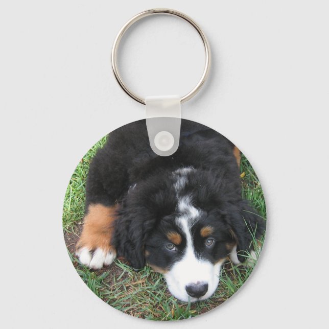 Bernese Mountain Dog Schlüsselanhänger (Vorderseite)