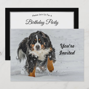 Bernese Mountain Dog Snow Foto Geburtstag Einladung