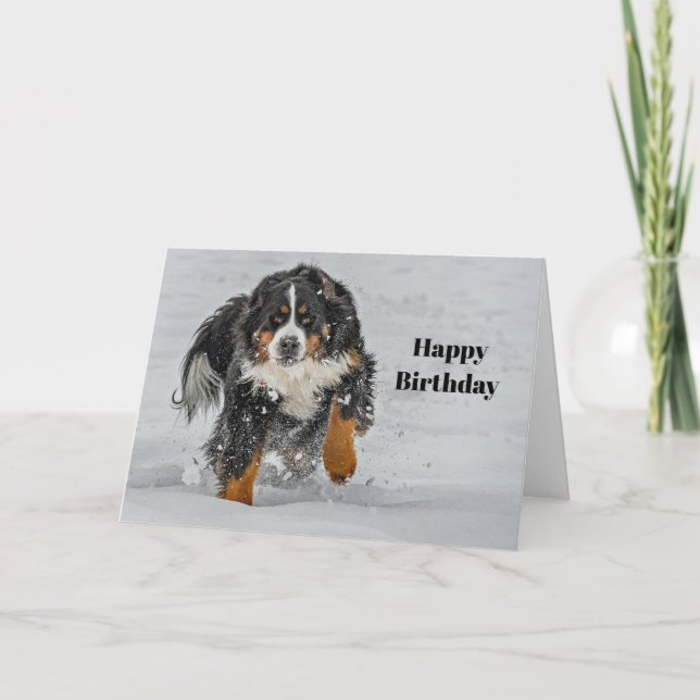 Bernese Mountain Dog Snow Foto Geburtstag Karte (Vorderseite)