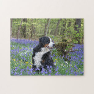 Bernese Mountain Dog Spring Woodland Puzzle