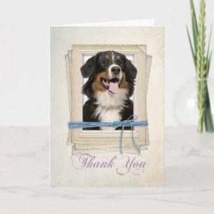 Bernese Mountain Dog Thank You Card Dankeskarte