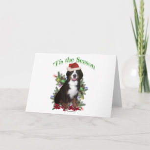 Bernese Mountain Dog "Tis Feiertagskarte