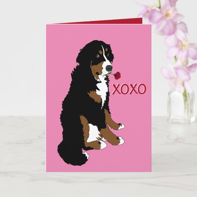 Bernese Mountain Dog Valentine's Day Karte (Orchidee)