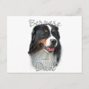 Bernese Mountain Dog Vater 2 Postkarte