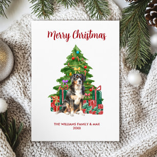 Bernese Mountain Dog Weihnachtskarte Feiertagskarte