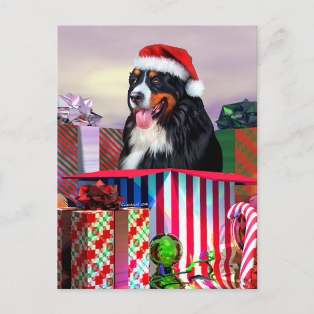 Bernese Mountain Dog Weihnachtsüberraschung Feiertagspostkarte (Vorderseite)