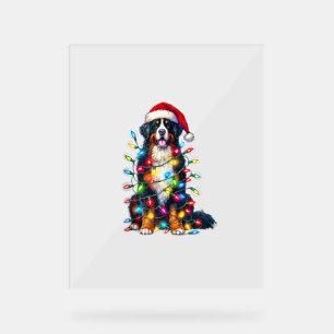 Bernese Mountain Dog x Christmas Lights Acrylschild