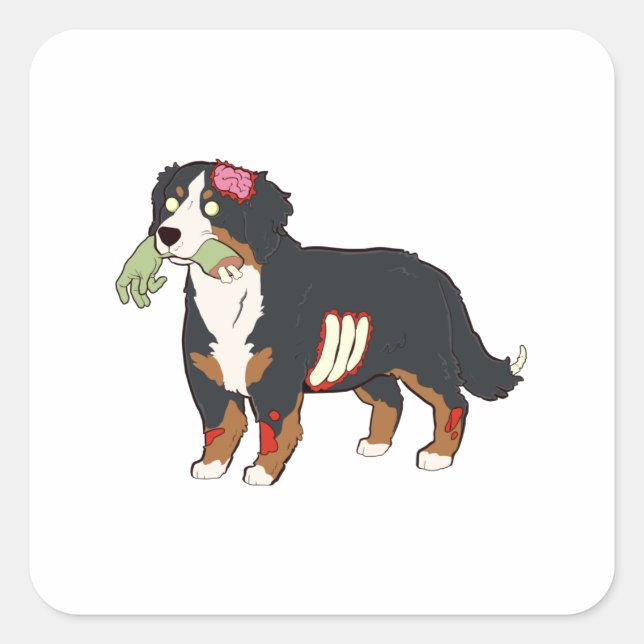 Bernese Mountain Dog Zombie Halloween Quadratischer Aufkleber (Vorderseite)